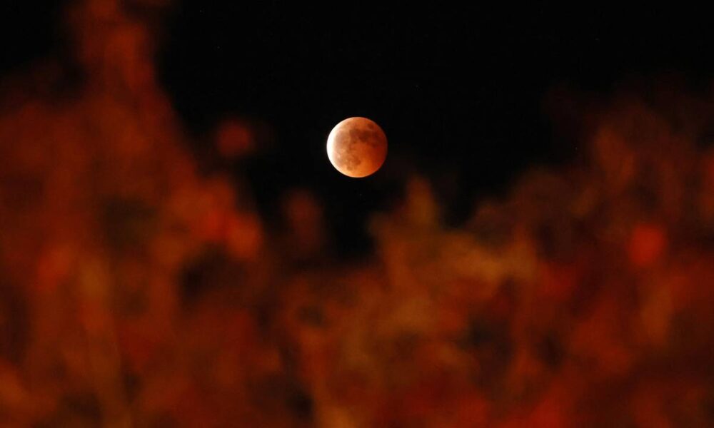 Prepare-se para a Lua de Sangue: Um Guia Completo sobre o Eclipse Lunar Total Visível no Brasil