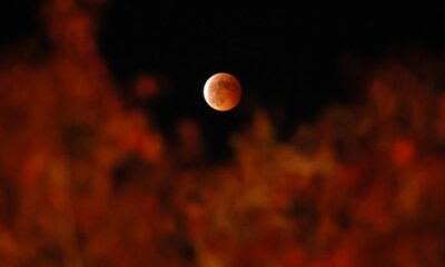 Prepare-se para a Lua de Sangue: Um Guia Completo sobre o Eclipse Lunar Total Visível no Brasil