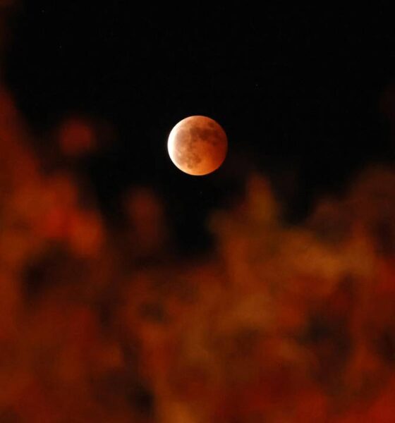 Prepare-se para a Lua de Sangue: Um Guia Completo sobre o Eclipse Lunar Total Visível no Brasil